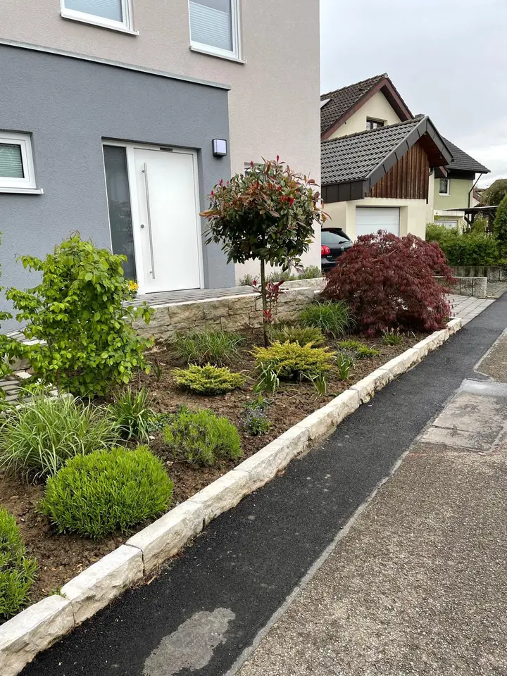 Vorgarten mit Bepflanzung und Natursteinkante