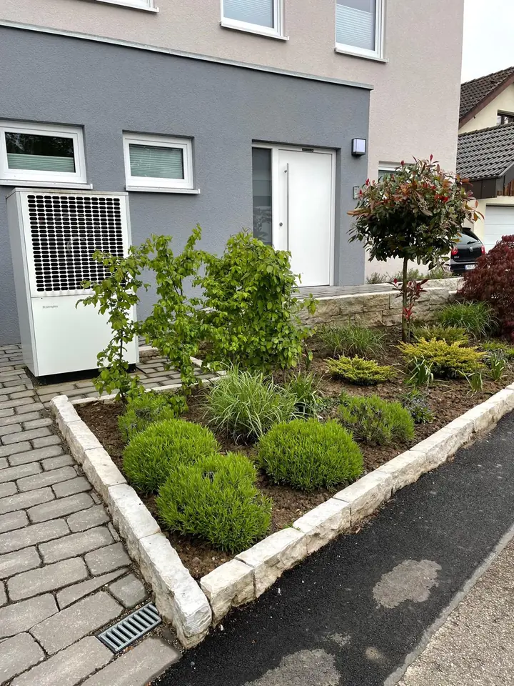 Vorgarten mit Bepflanzung