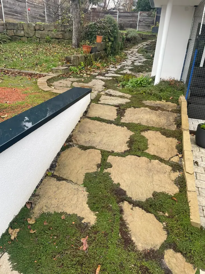 Polygonalplatten im Rasen